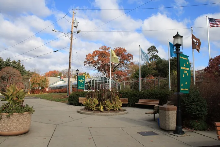 Paved entrance plaza at Beardsley Zoo in autumn, with benches, flagpoles, a greenhouse and a green Beardsley Zoo banner on a lamppost.