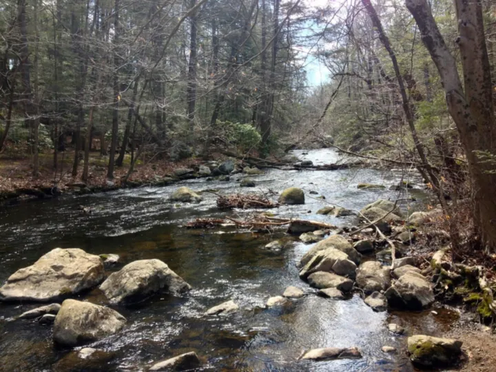 The Mianus River running shallow over boulders through leafless woods in early spring.