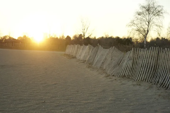 The sun setting over the beach at Sherwood Island State Park, with a leaning line of wooden snow fence across the sand and bare trees behind.